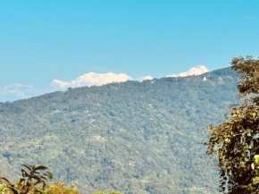 The Jhandi Forest Camping & Huts